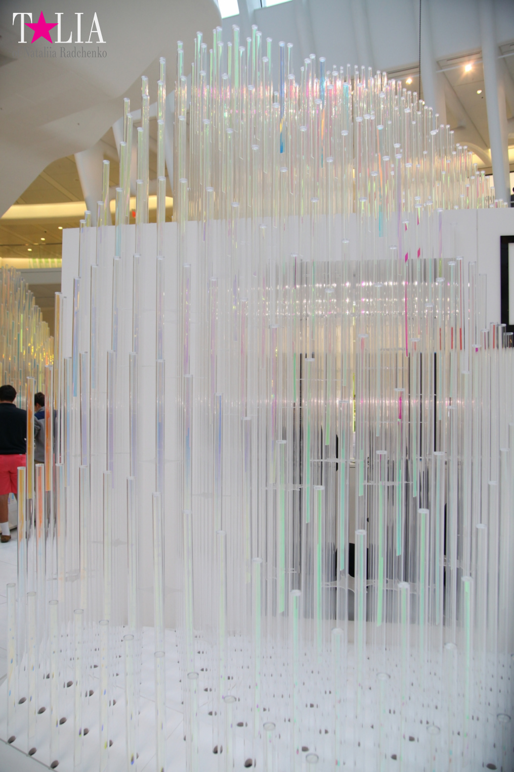 The most expensive train station and mall in the world. Oculus in New York City